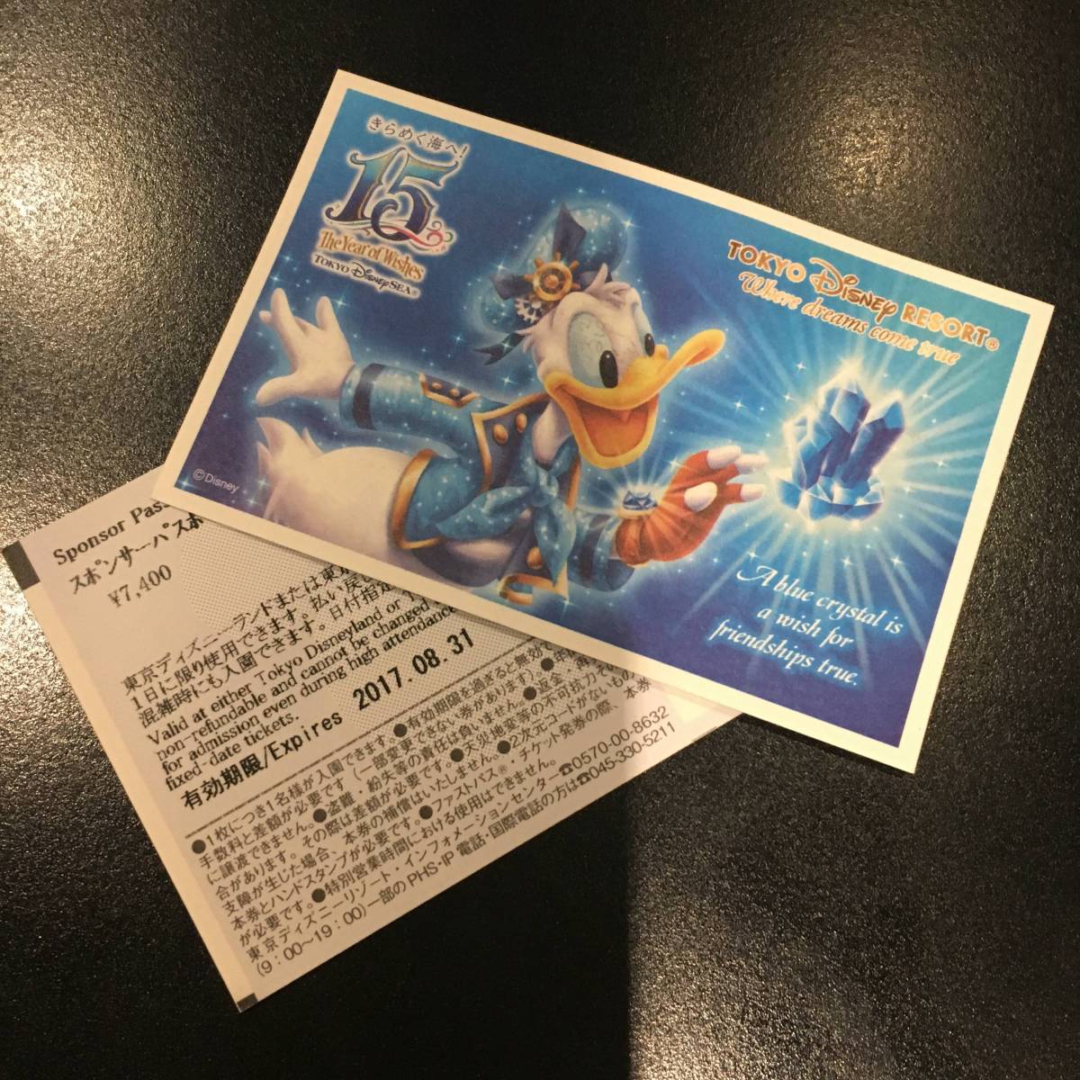 ディズニー スポンサーパスポート 混雑時入園可 15周年ロゴ入り