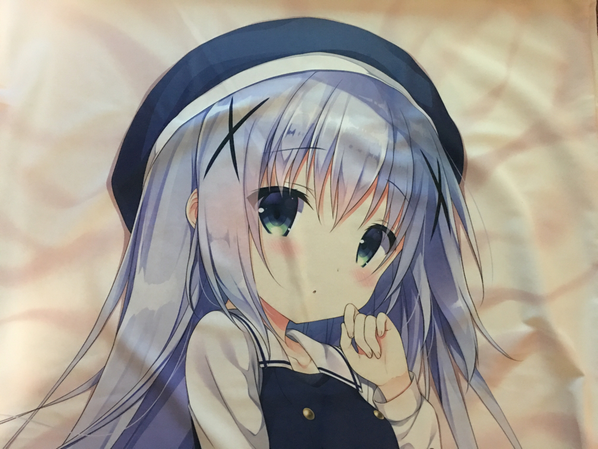 抱き枕 | bcdkc.nl