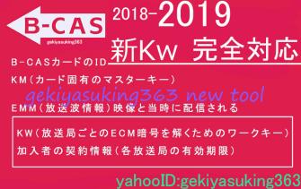 初出品！！ bcas cardtool 無敵のX2018 決定版！ 2018-2019新Kw対応Premium版3