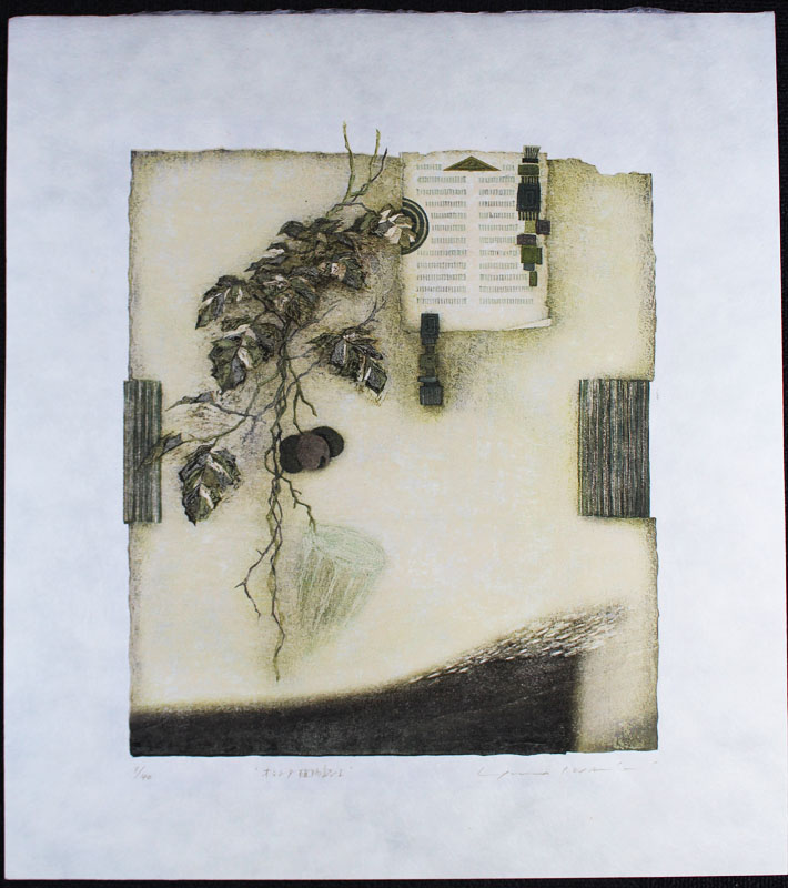 ◆岩切裕子◆オランダ植物誌◆木版◆おしゃれなインテリアに◆