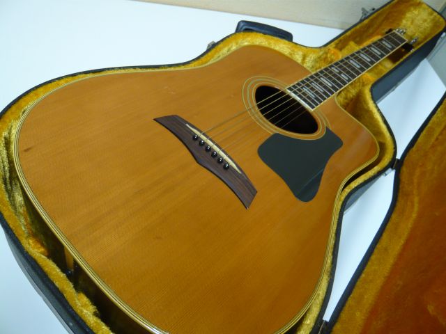超レア Morris Special W-65R トップ単板 カッタウェイ シャーラペグ