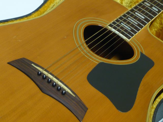 ギター Morris W-65R ギター Morris W-65R ギター Morris W-65R ギター Morris W-65R Morris