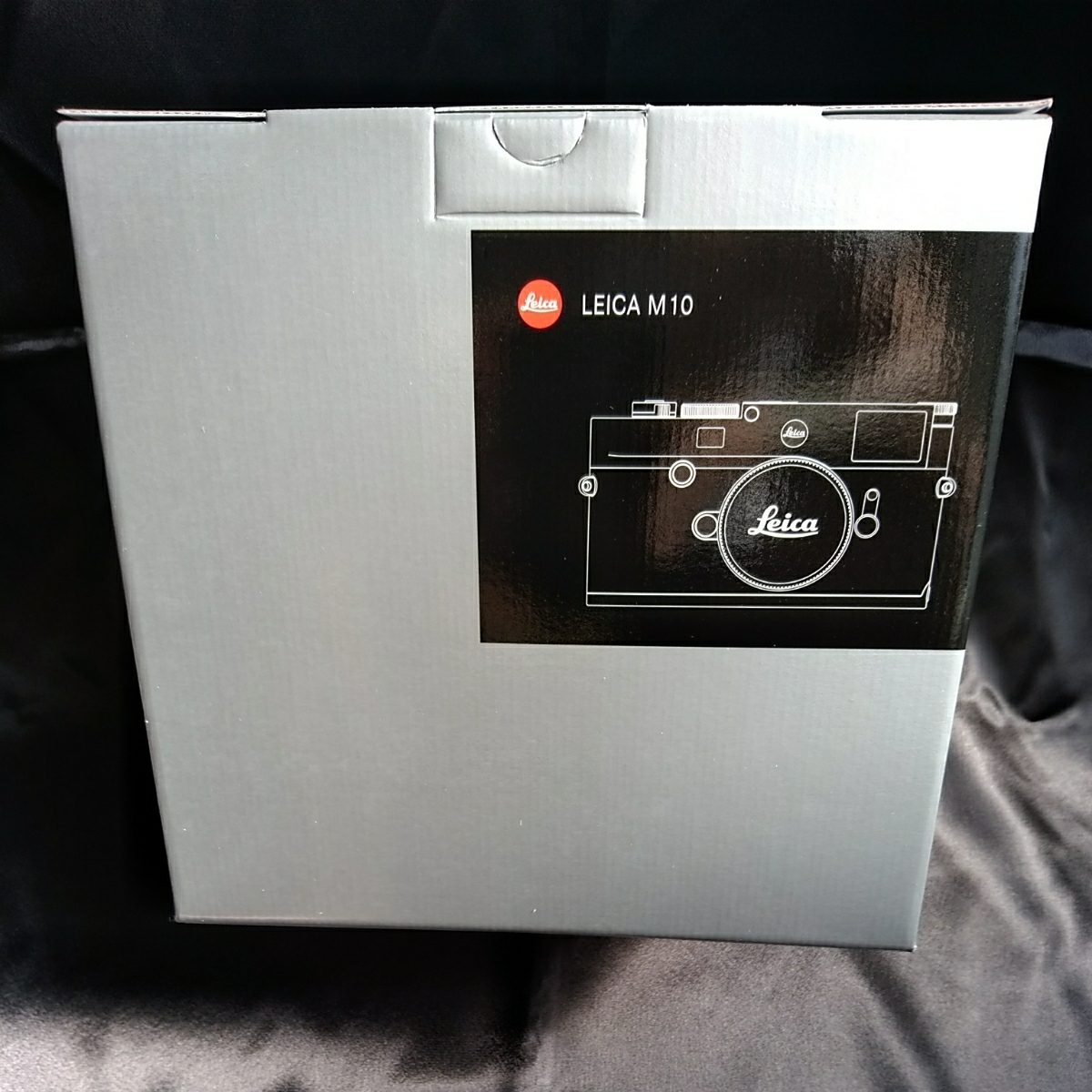 t515437216.1