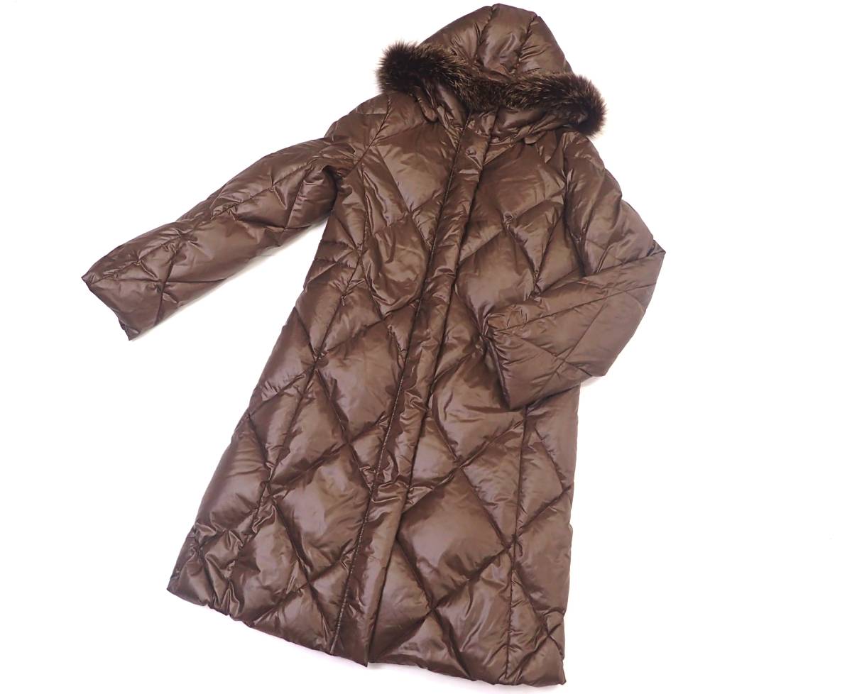 s560223251.1