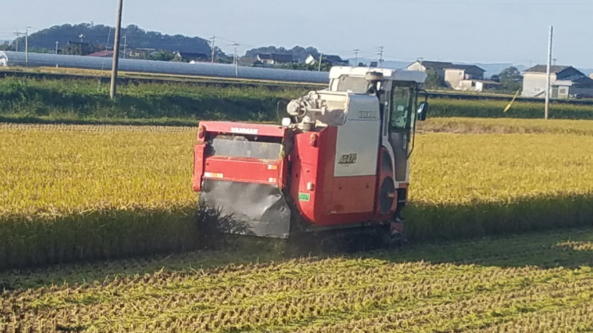 l415390371.1