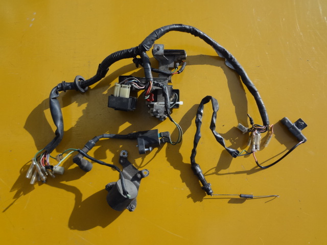 l409156984.1