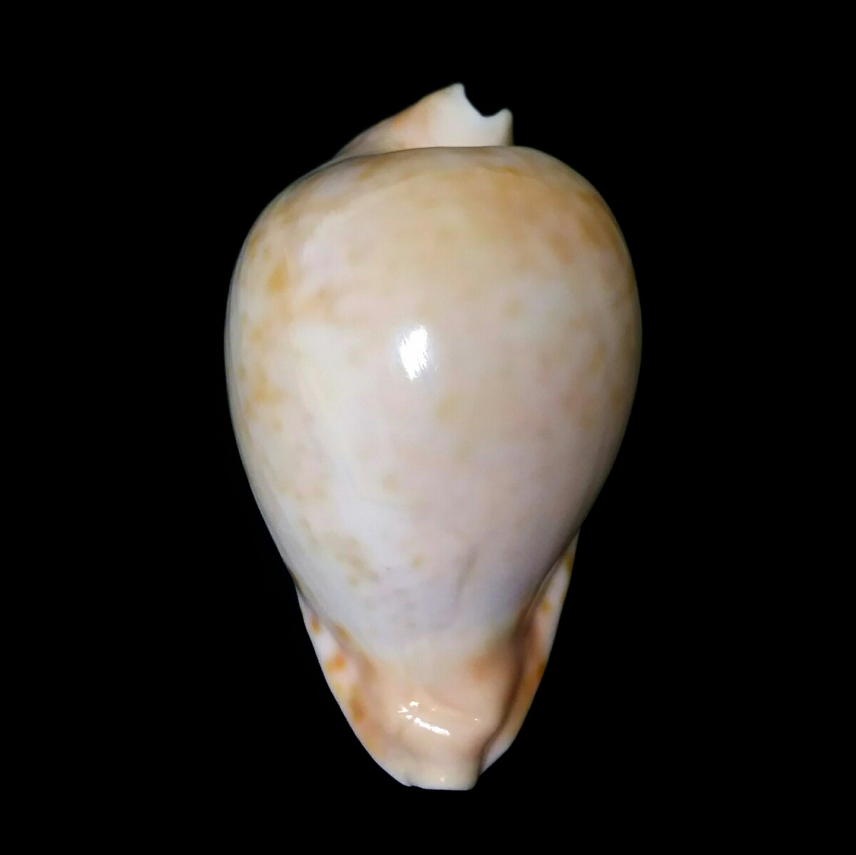 h257926110.3