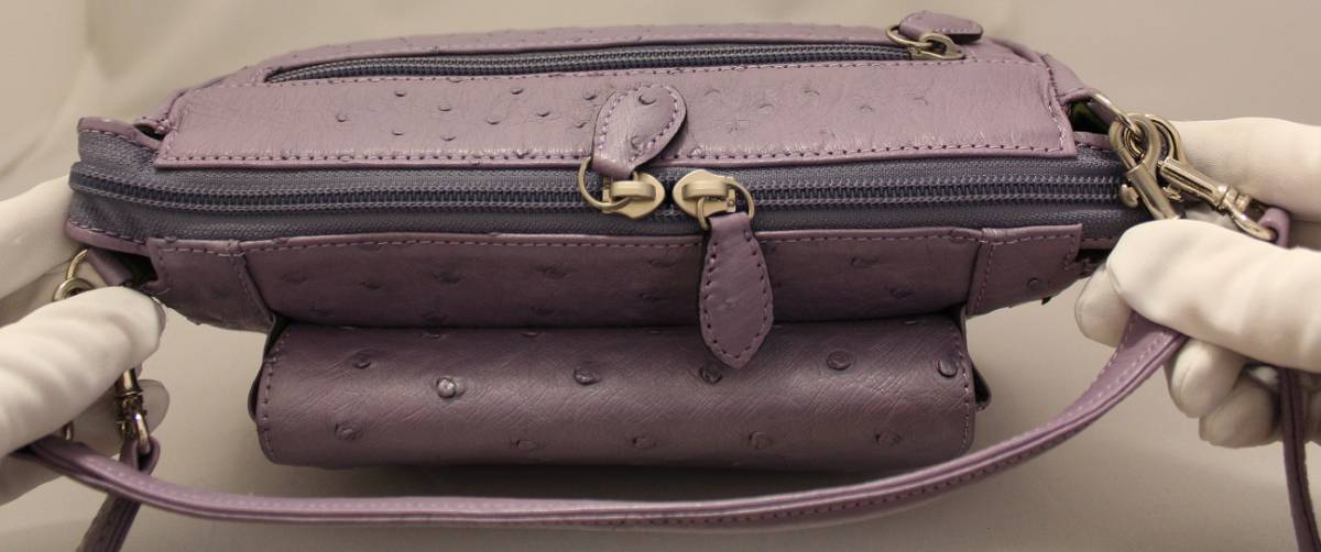 オーストリッチ 本革 ハンドバッグ チェリー レザー 2WAY ショルダー