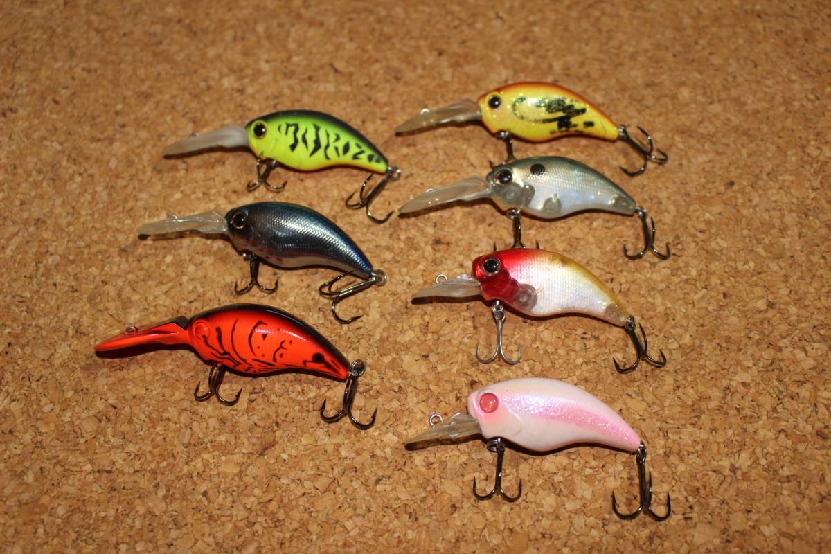 エバーグリーン　ワイルドハンチセット_1