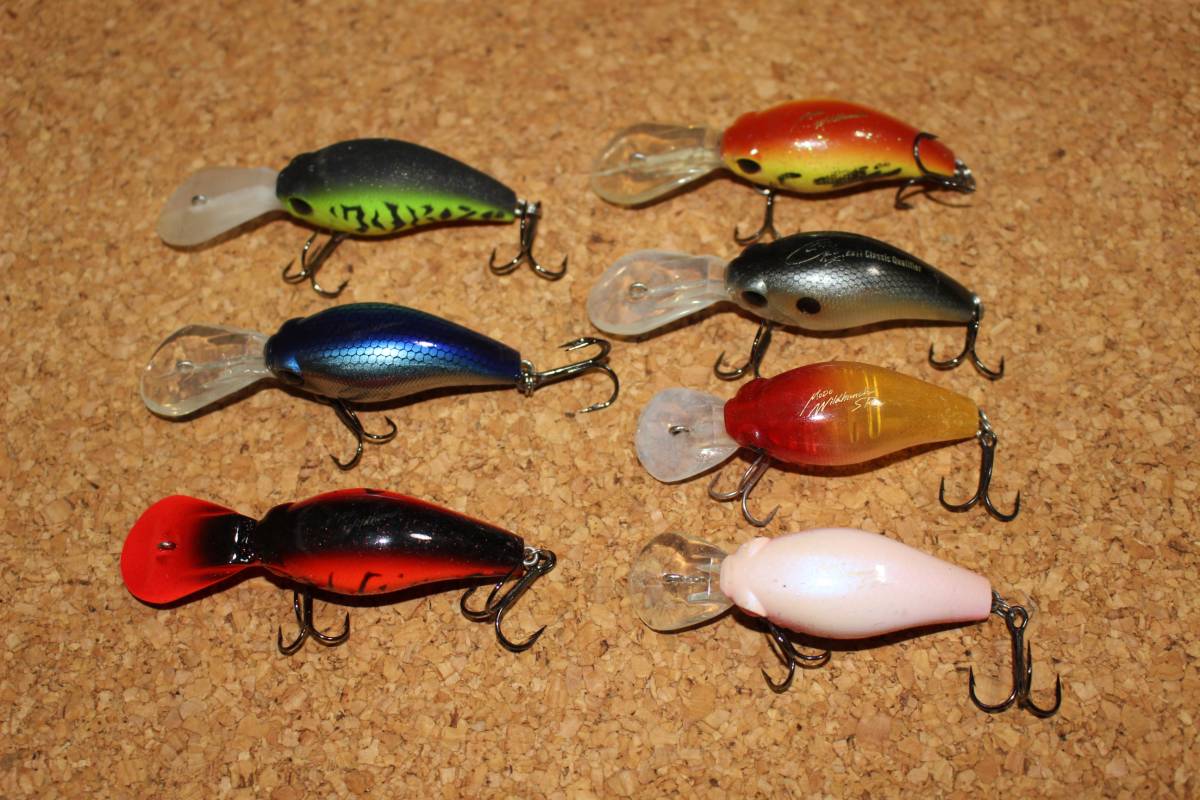 エバーグリーン　ワイルドハンチセット_3