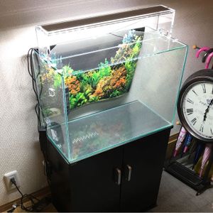 ADA 水槽 60のYahoo!オークション(旧ヤフオク!)の相場・価格を見る