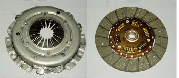 g242956750.2