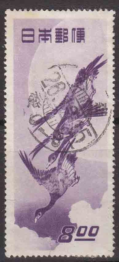 247490843.1