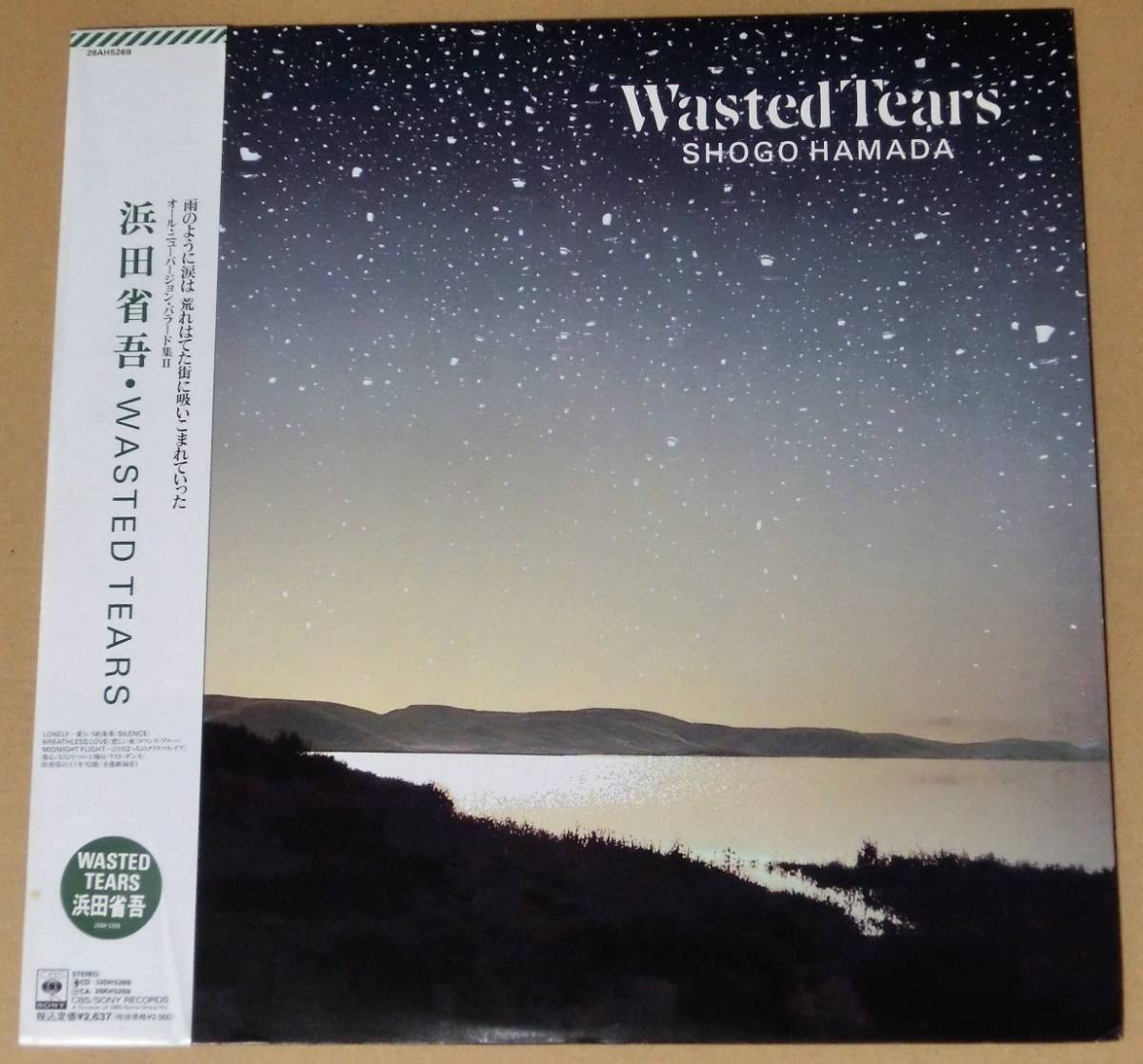 浜田省吾 Wasted Tears - 公式通販 28AH5269 レコード WASTED TEARS LP 