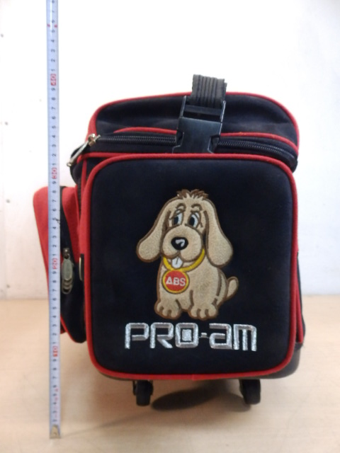 ABS ボウリングバッグ 2ボールキャリーバッグ 2ボール用 PRO-am
