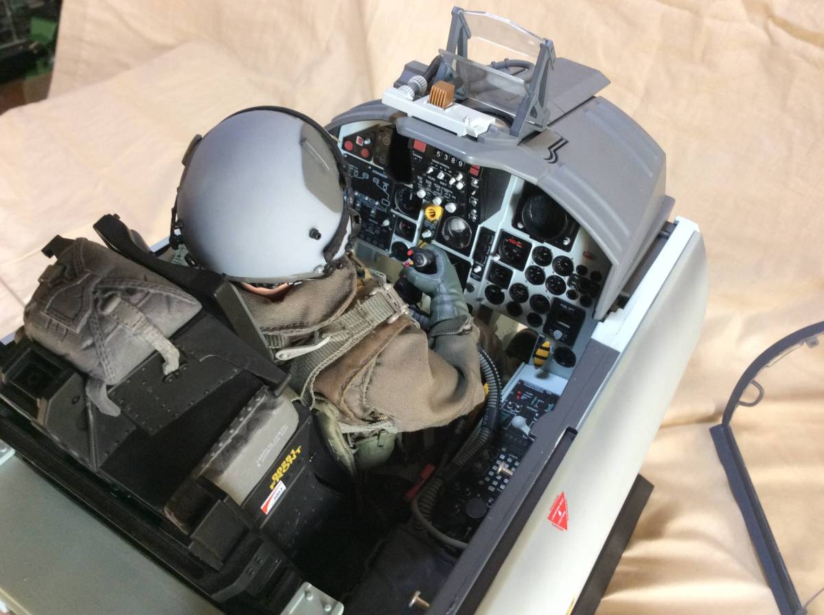 1/6 F-15C Eagle COCKPIT Eagle Cockpit F-15C COCKPIT レア品 Cliffs