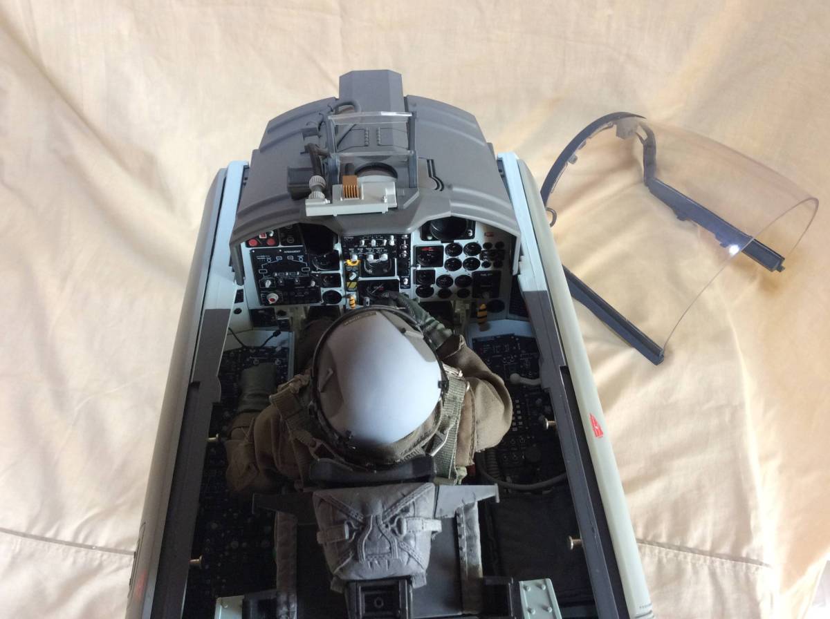 1/6 F-15C Eagle COCKPIT Eagle Cockpit F-15C COCKPIT レア品 Cliffs