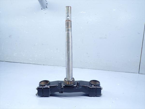 m288129504.1