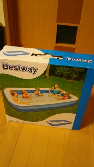 新品未開封 ノースイーグル レクタングラファミリープールBIG_1