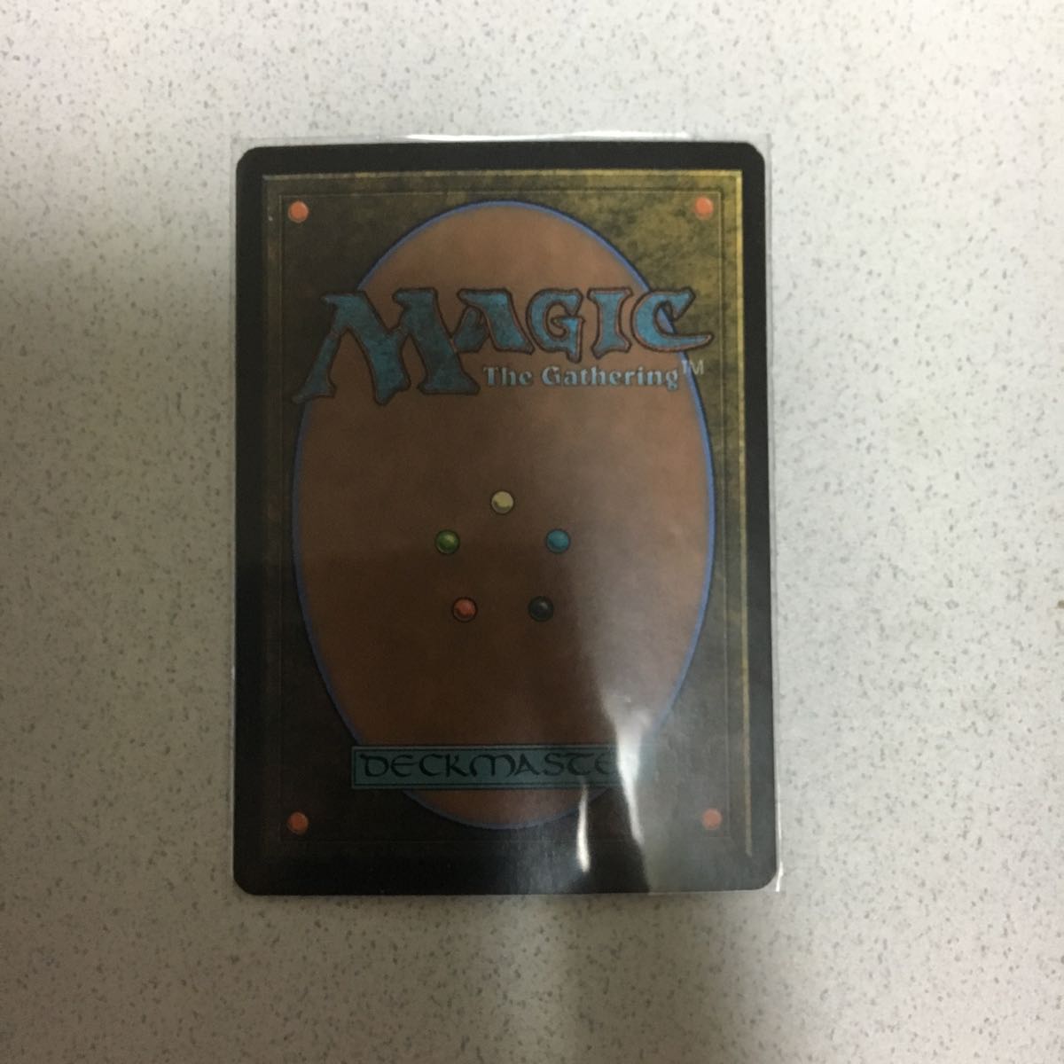 希少商人の巻物 8版 商人の巻物(日)foil エラーカード 第8版