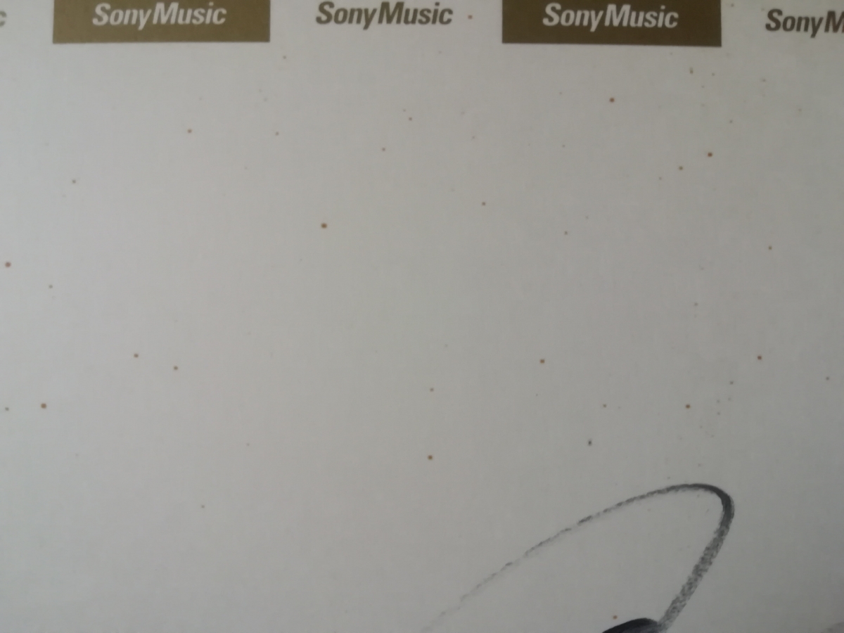 西野カナ 直筆 サイン 色紙（厚紙タイプ） SONY MUSIC 写真 付き 額装