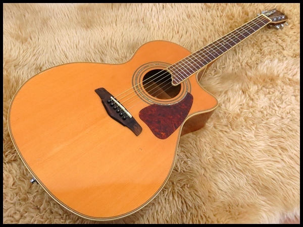 ナッシュビル N-30D ハードケースあり 現状品 ナッシュビル NASHVILLE