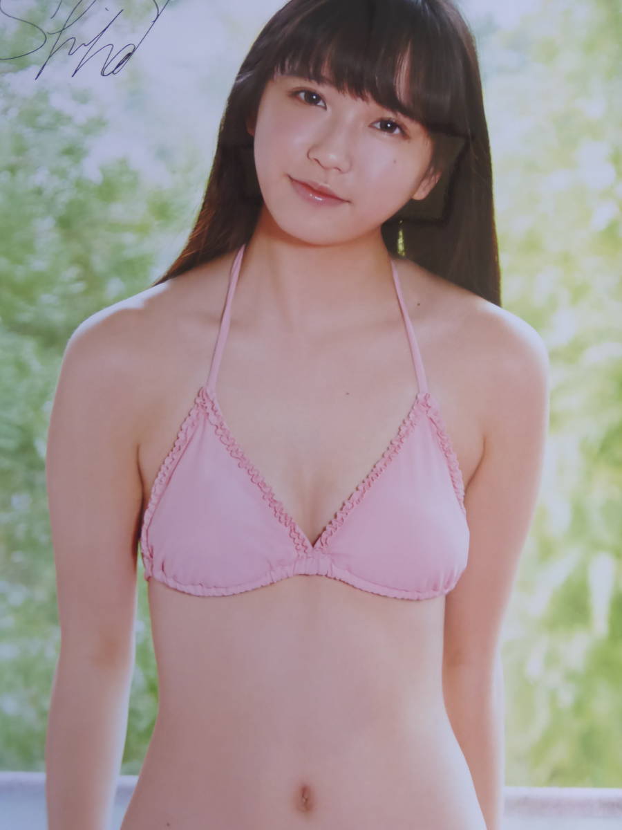 藤野志穂 等身大 ビキニ ポスター (約180×60㎝) ENTAME/エンタメ(は行