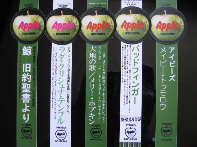 3極特典URL付き無形エネルギー共鳴療法アドバンスDVD 無形エネルギー