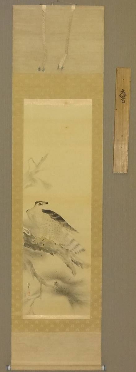 鑑定 四条派画家・木島 桜谷 筆 鷹図 掛軸 共箱 模写 画像は 【公式通販】