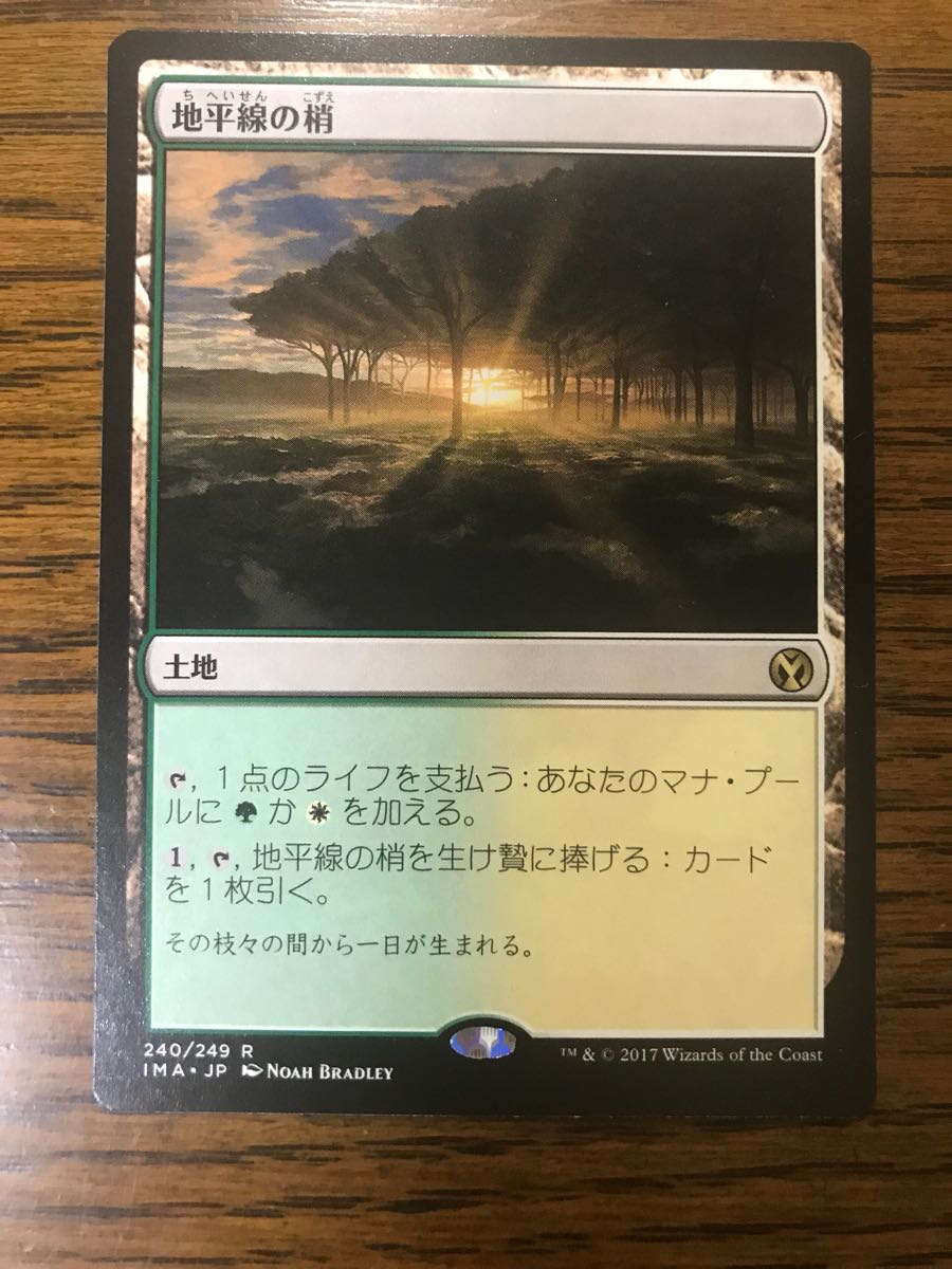 ◇MTG 地平線の梢 FUT 日本語版 1枚◇ 地平線の梢⁄