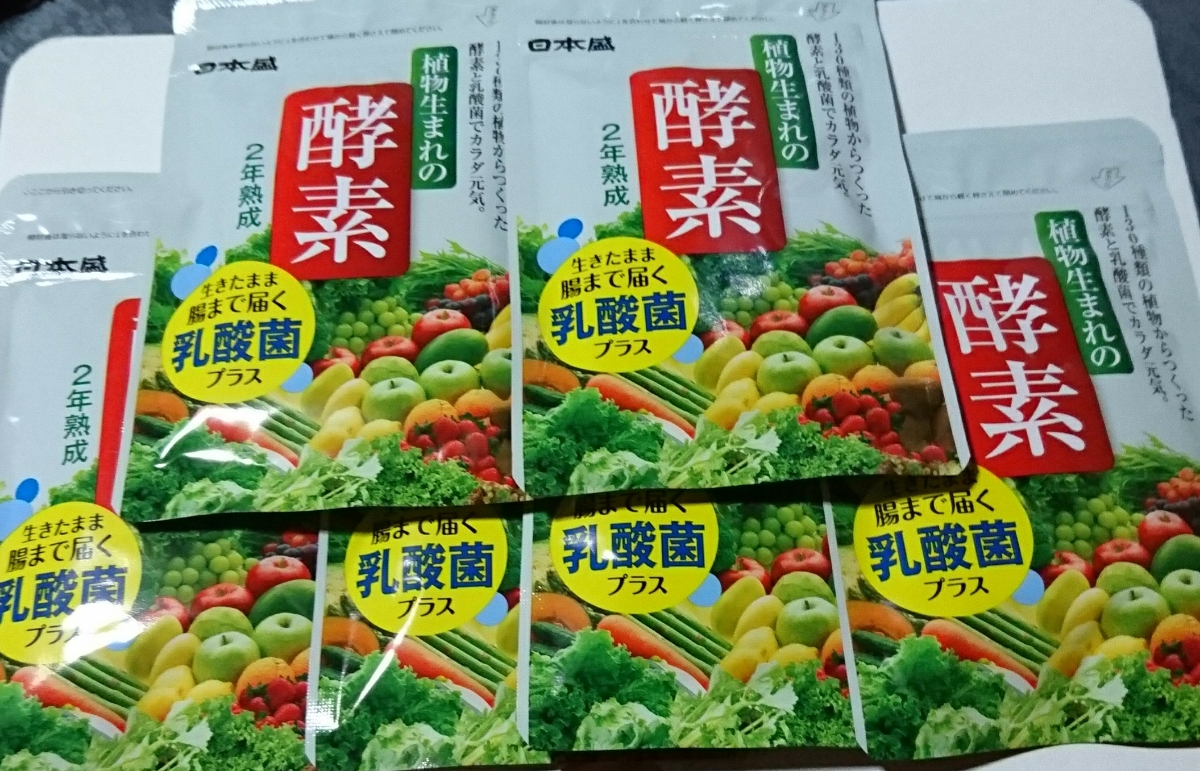 日本盛 植物生まれの酵素 62粒 6袋 新品未開封