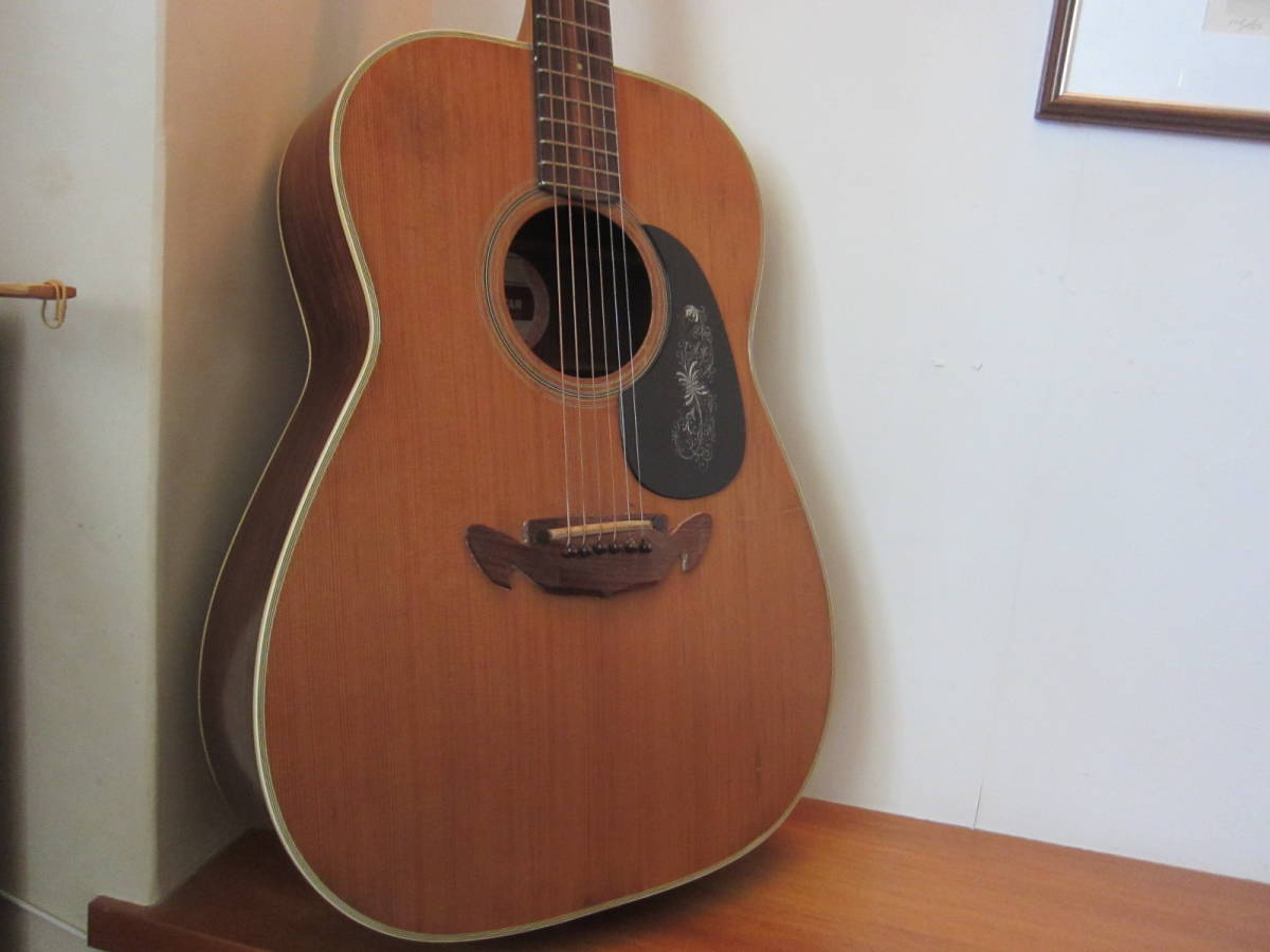 12弦ギター Ovation Celebrity Deluxe cc265. ✨希少✨ オベーション