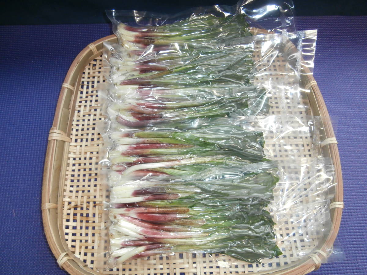 北海道奥尻島産 天然行者ニンニク生真空冷凍！200g入り5個セット 