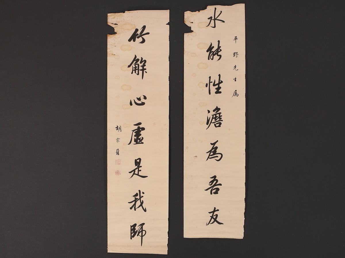 模写】【伝来】f3976〈胡家鼐〉双幅 書 中国画 マクリ 中国画 中国美術