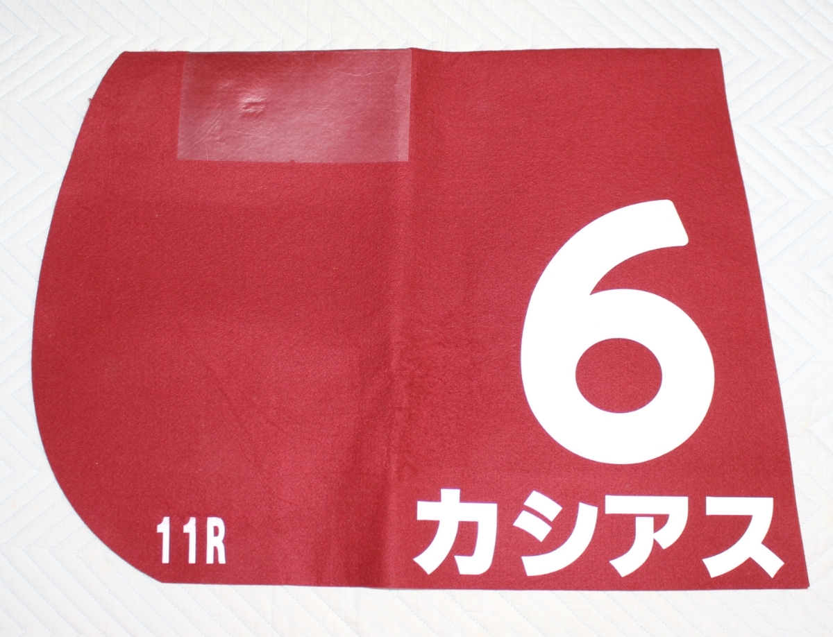 カシアス GⅡ実使用ゼッケン
