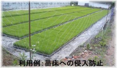 ★格安・送料込み★中古のり網/海苔網/ノリあみ★18m×1.6m★鳥獣害防止ネット★10枚組★シカ避け★鹿防除ネット★