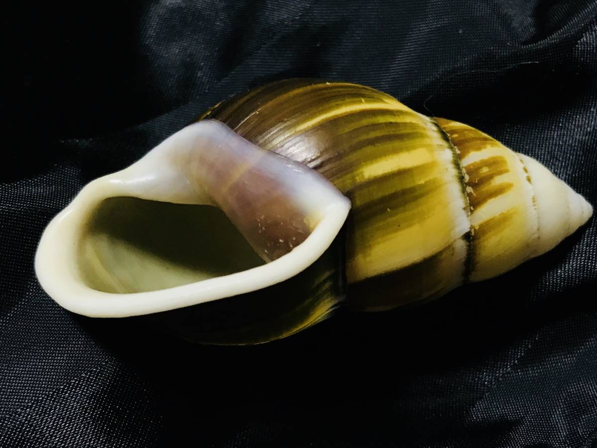 f289112097.2