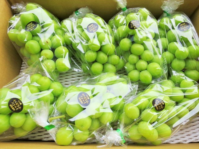 シャインマスカット 秀品9房 5キロ JAみなみ信州 ふるさと納税長野県 新鮮