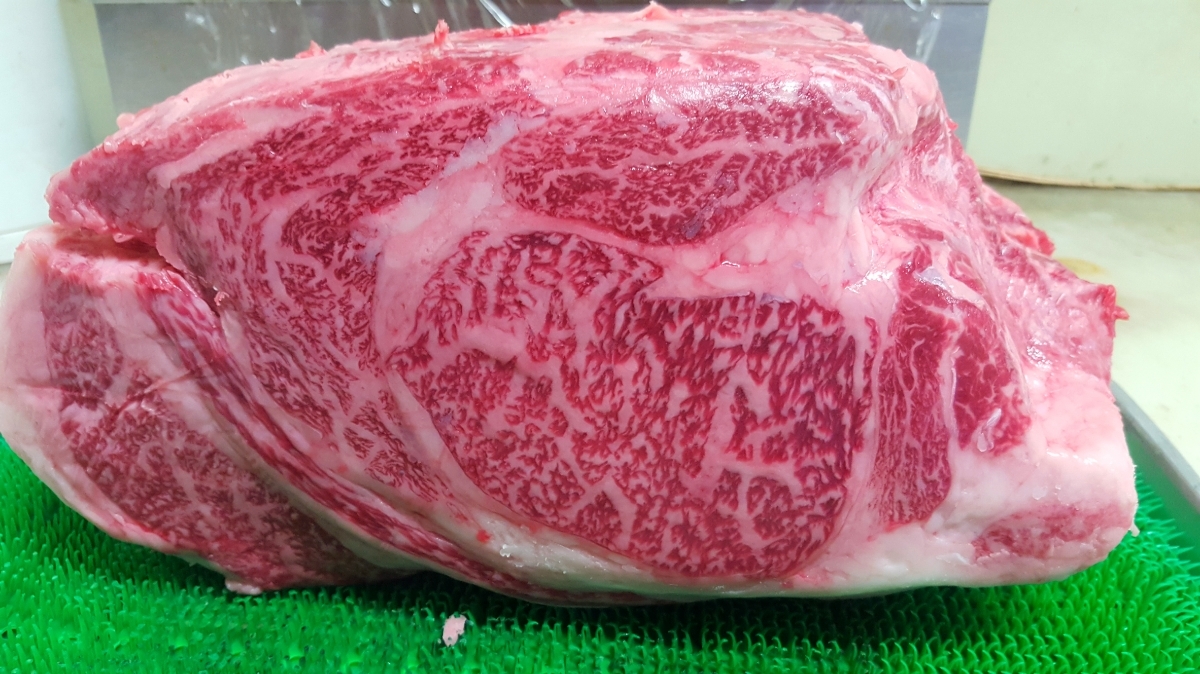 うぶ荷 富士形 松図 鉄瓶 煎茶道具 骨董品 古美術品 326215 | SHOP39.NET