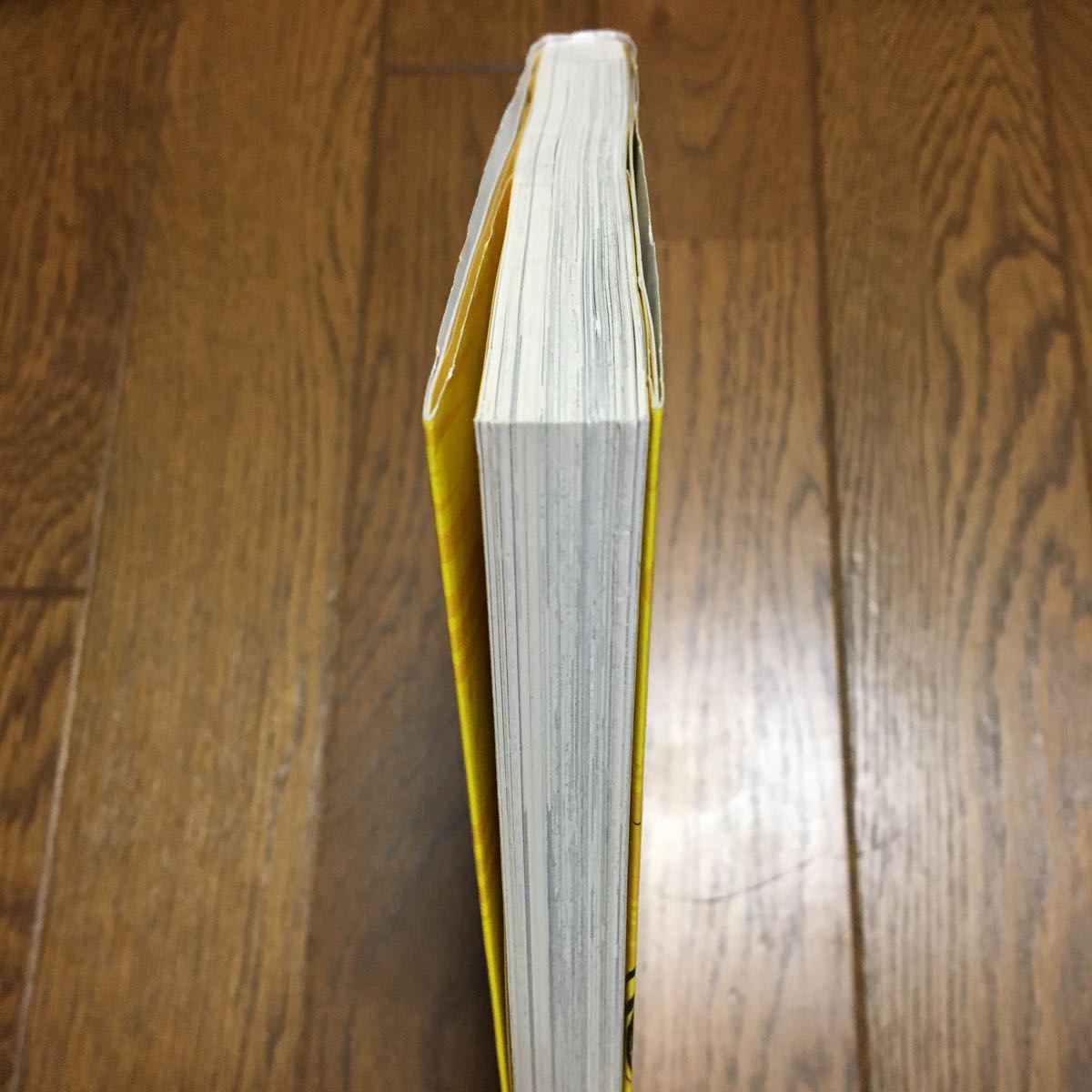 初版 帯付き ごくせん 完結編 森本梢子_3