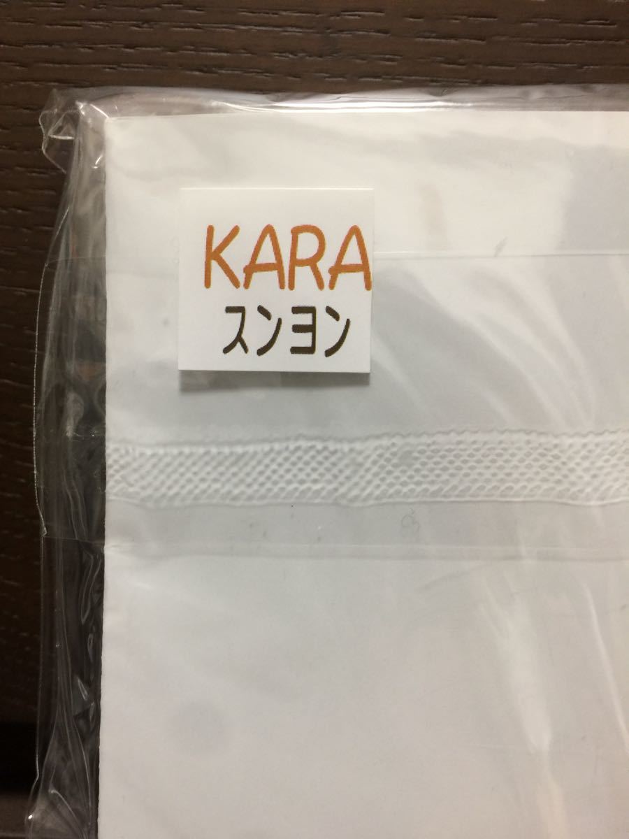 未開封新品】KARA スンヨン 韓国ファンサイト写真集 『HER AECHAK