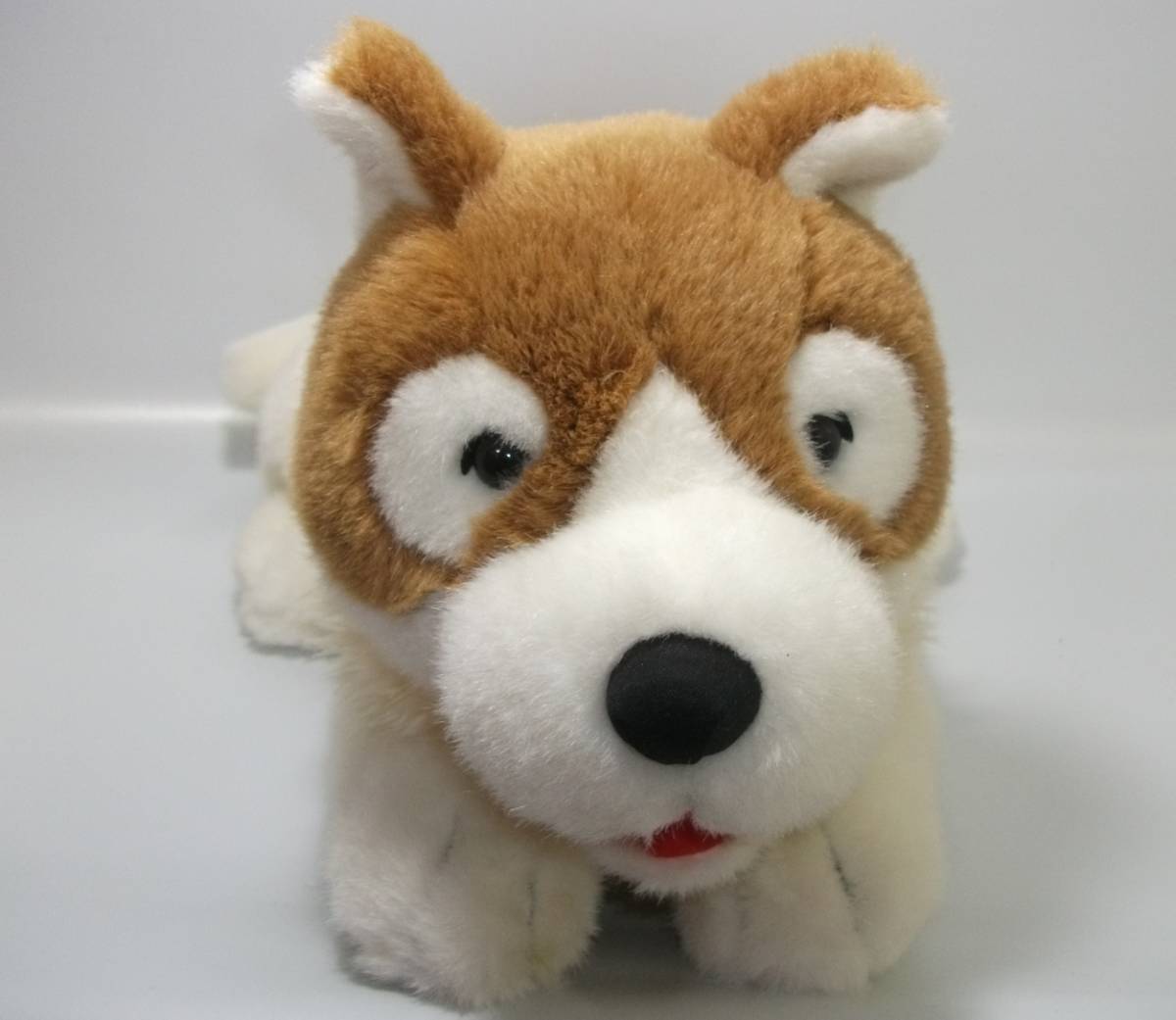 パトラッシュ ぬいぐるみ フランダースの犬 LOTTE 【公式通販】