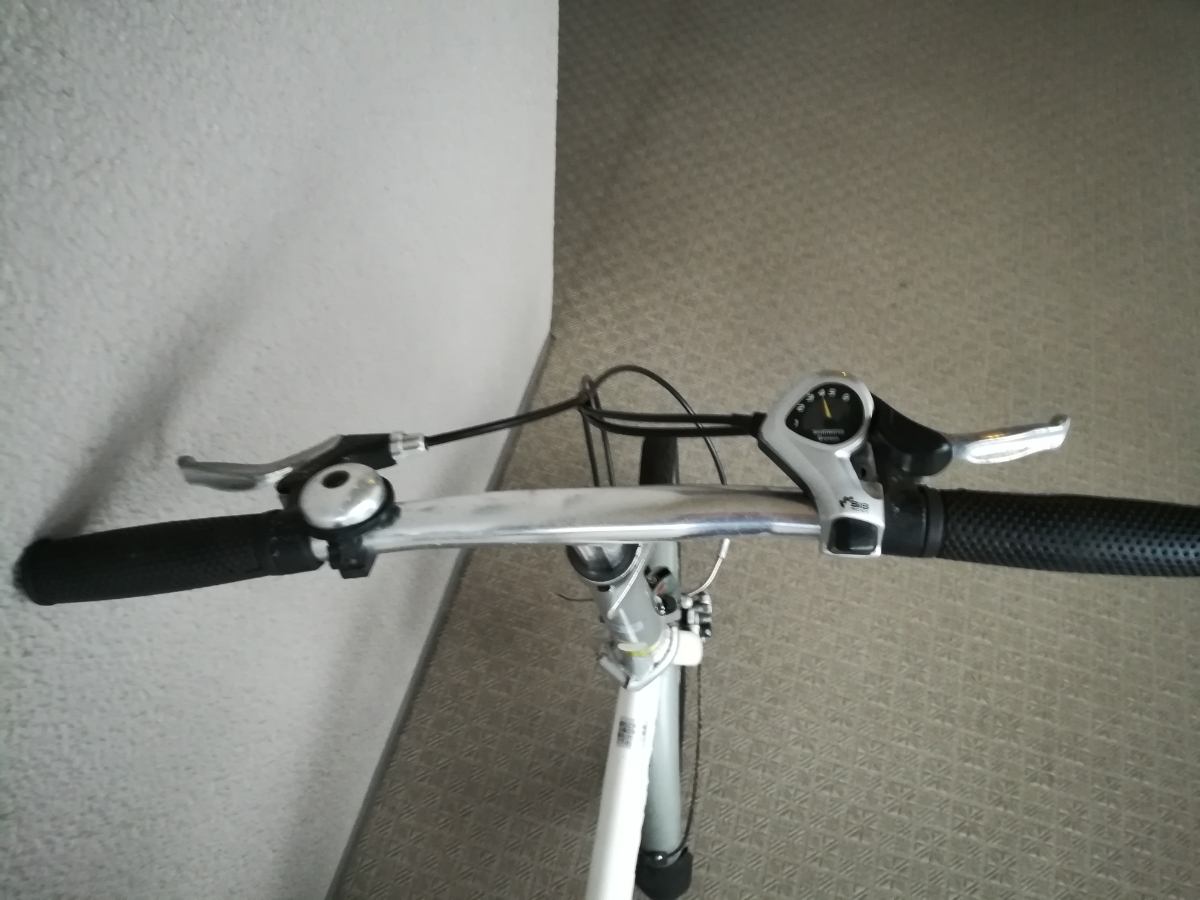 引取限定 川崎市 ダホン メトロ 折畳み自転車 DAHON ジャンク metro