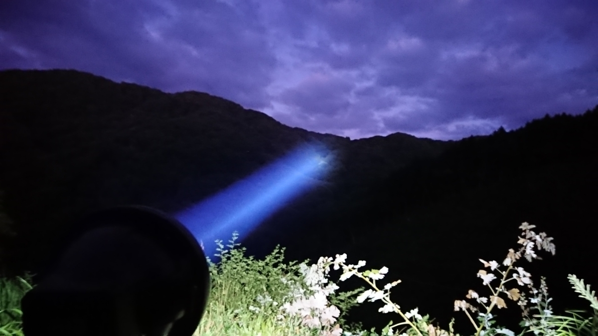 ライトトラップ 灯火採集 HID 100w 三脚型 7インチ 紫外線放出加工済