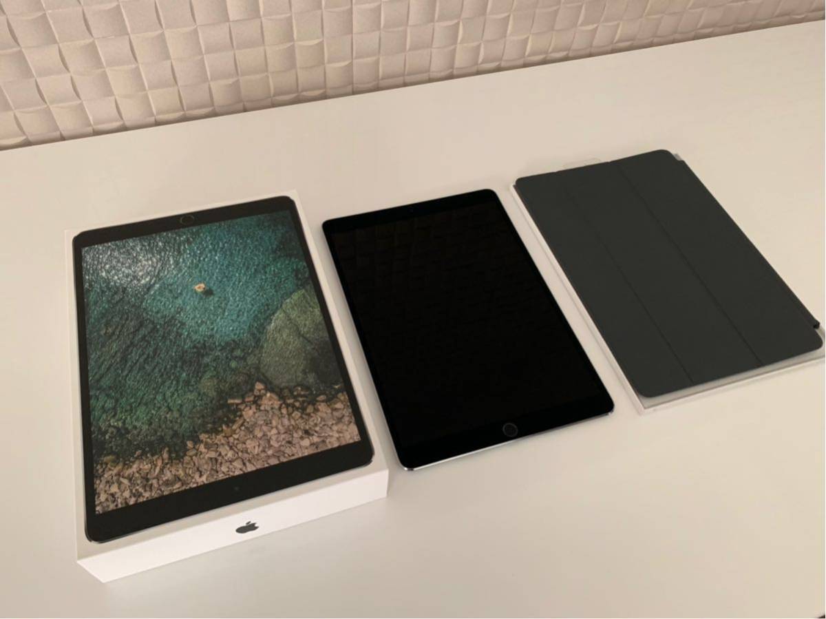 docomo iPad Pro Wi-Fi Cellular 64GB シルバーMQF02J/A 判定