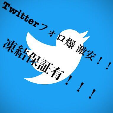 大人気，低価 Twitterフォロワー10000人追加 超高品質フォロ爆 ツイッター フォロワー 1万人 最安値 格安 凍結保証有り(官製はがき)｜売買されたオークション情報、yahooの商品情報をアーカイブ公開 - オーク はがき