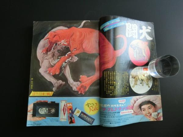 少年マガジン 1966年24号 表紙：ウルトラQ・ペギラ 他 貴重本