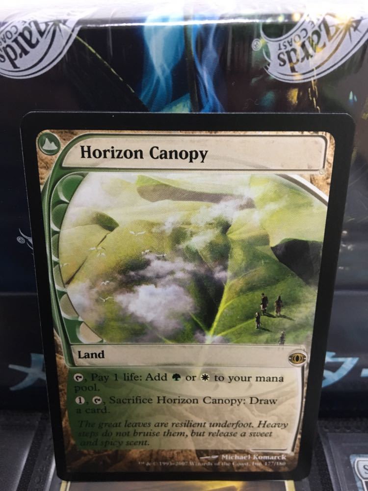 mtg Horizon Canopy 地平線の梢 英語版 地平線の梢⁄Horizon Canopy FUT英語