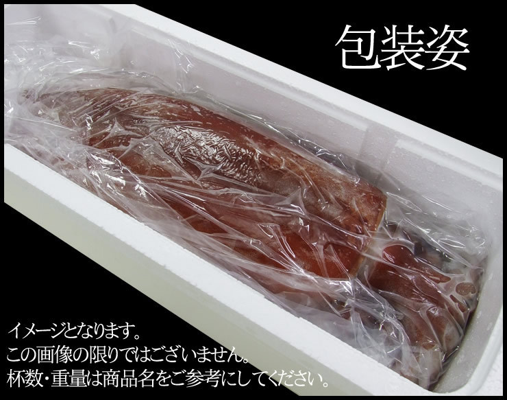 アカイカ姿冷凍(ソデイカ・タルイカ)大 1杯(6ｋｇ前後)鳥取県産［2018年12月水揚げ］ 1箱で出荷！同梱不可