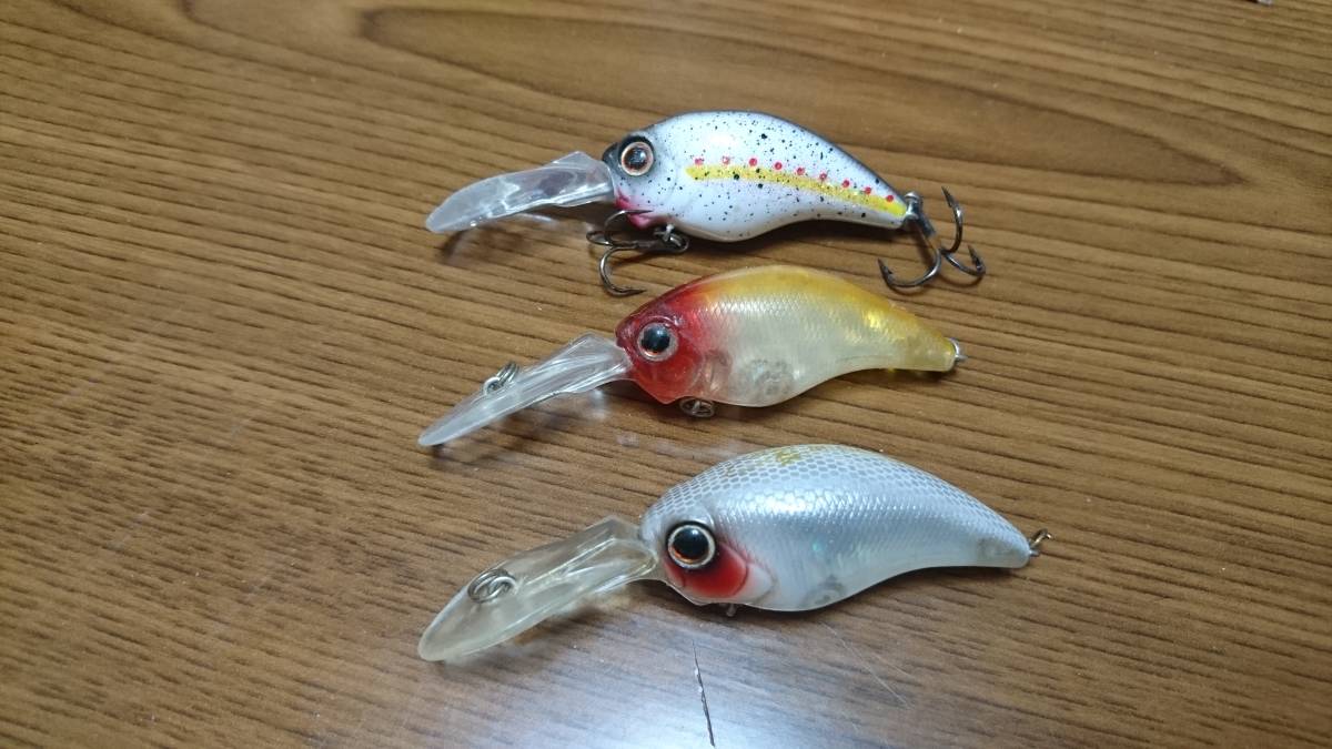 中古エバーグリーン ワイルドハンチ_1